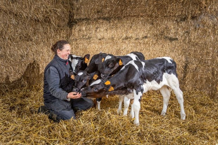 Belgische melkveehoudster Sanne legt de lat hoog bij kalveropfok